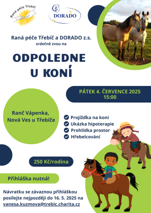 Odpoledne u koní